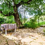Olabilir * Ortaca (Mugla)