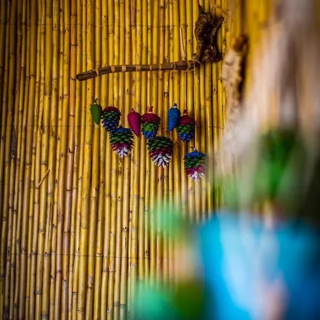 Olabilir * Ortaca (Mugla)