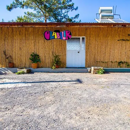 Olabilir Ortaca (Mugla)