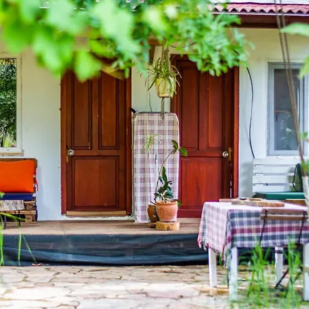 Olabilir * Ortaca (Mugla)