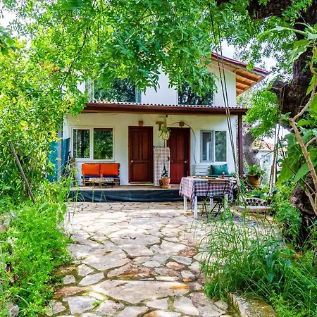 Holiday home Olabilir *