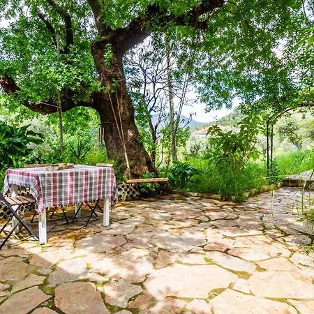 Olabilir * Ortaca (Mugla)