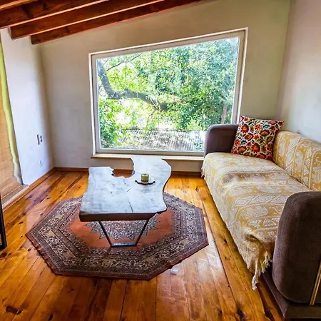 Ferienhaus Olabilir *