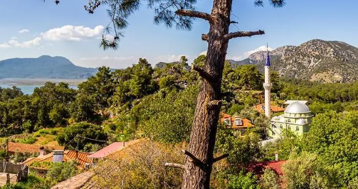 Holiday home Olabilir *