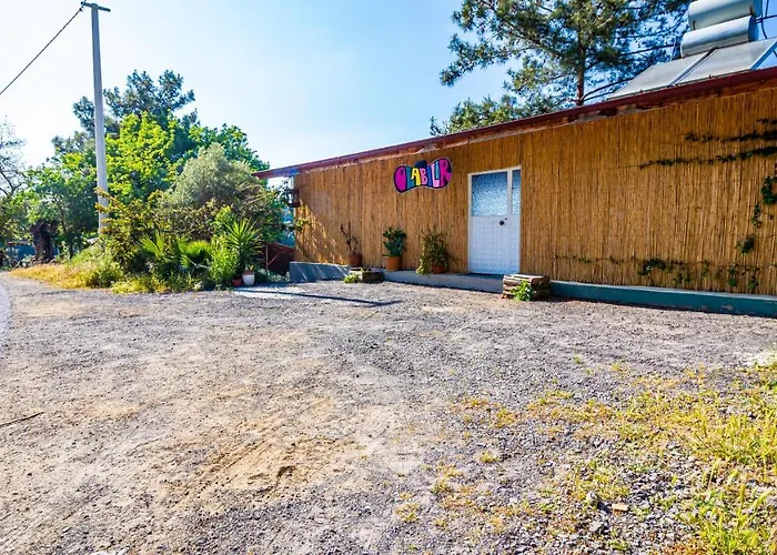 Holiday home Olabilir