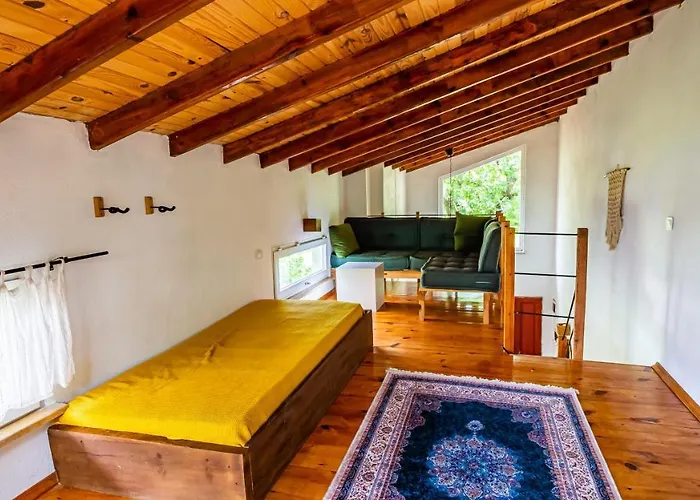 Holiday home Olabilir *