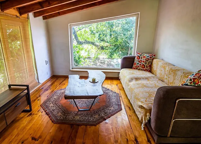 Holiday home Olabilir *